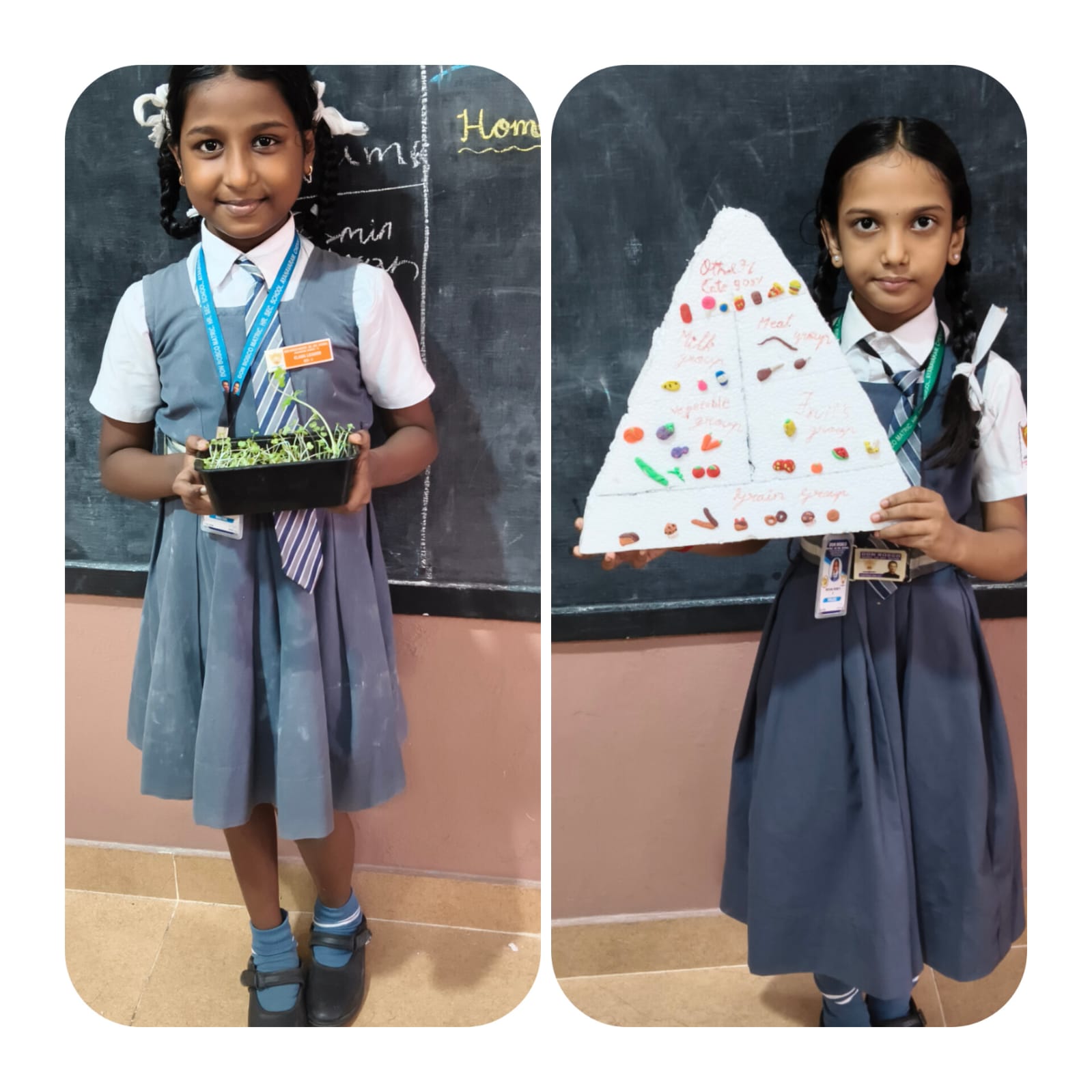 Science Project Appreciation 🌟